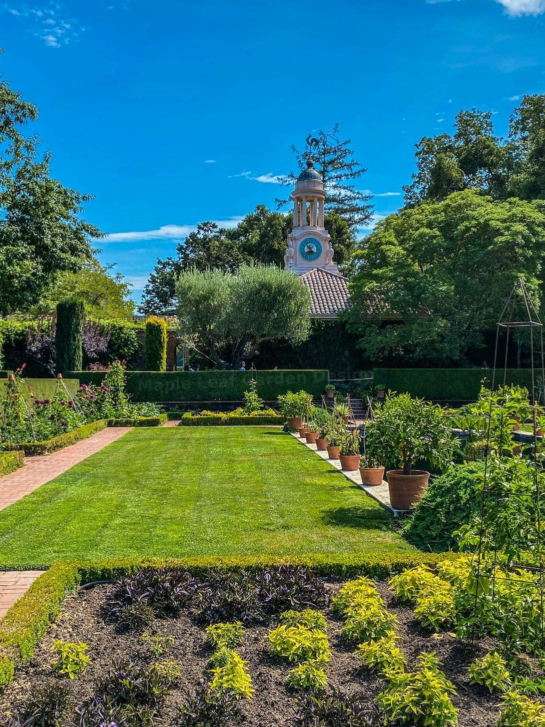 Maple Leaf Garden Design